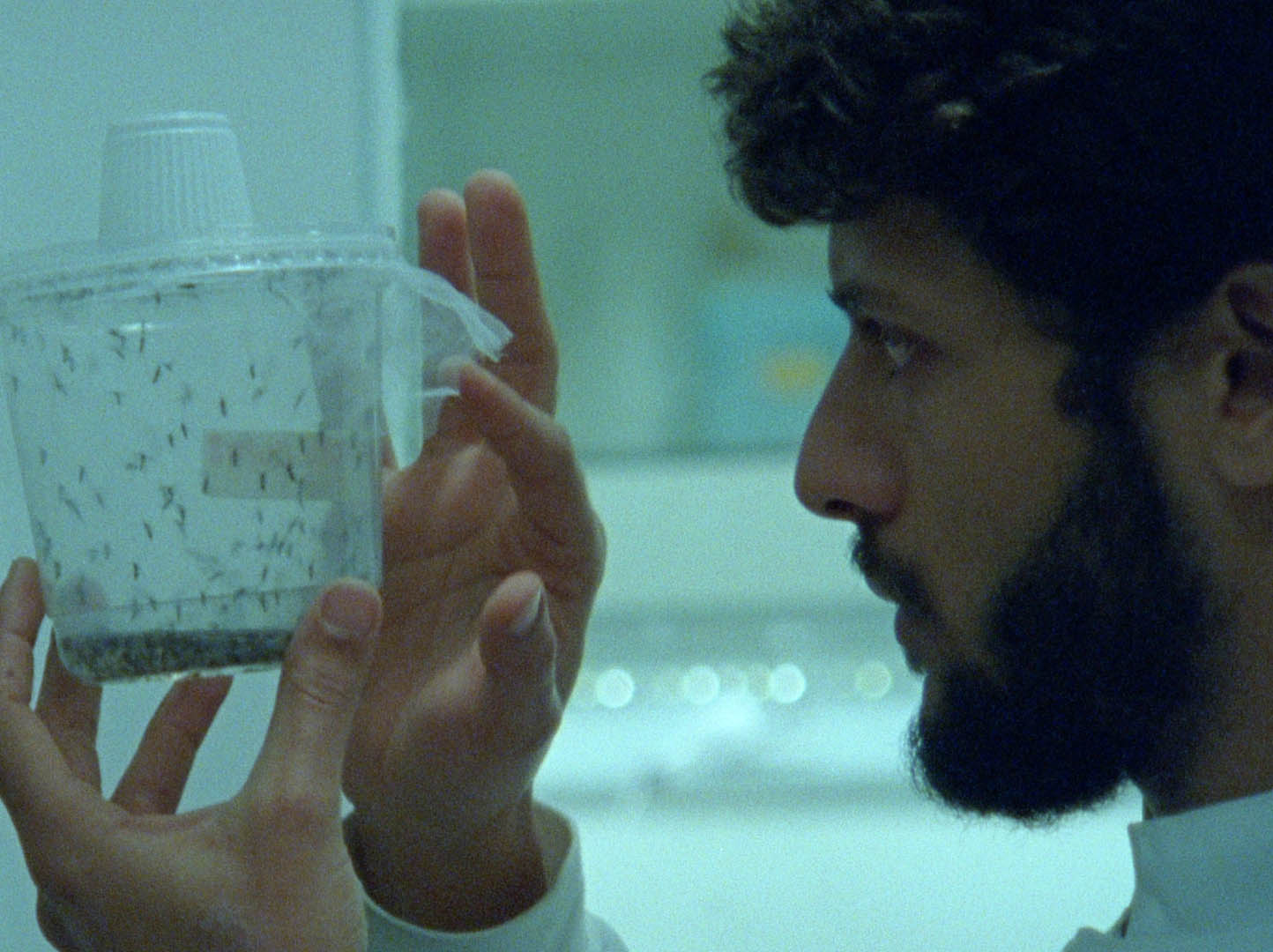 Man looking at plastic container with insects