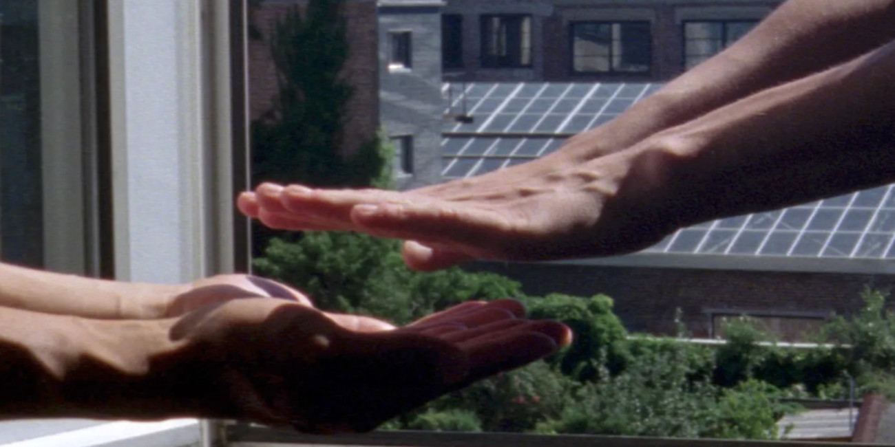 photo of two pairs of hands almost touching in window