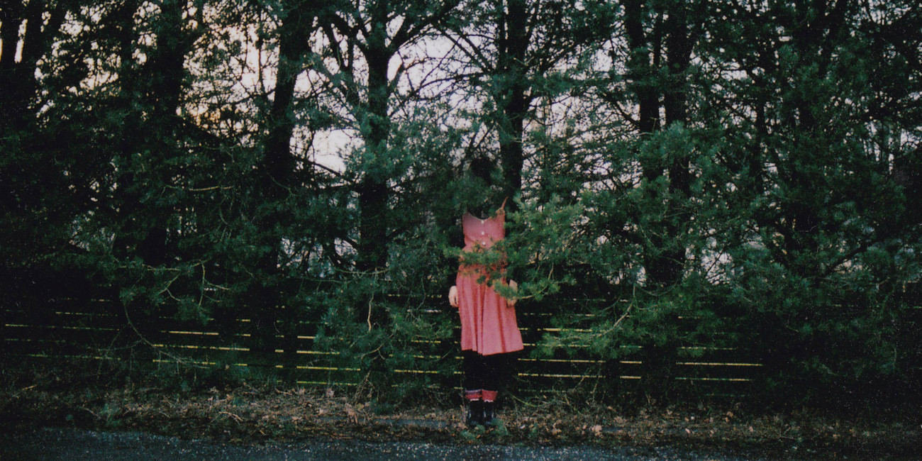 photo of a line of trees with someone in a pink dress