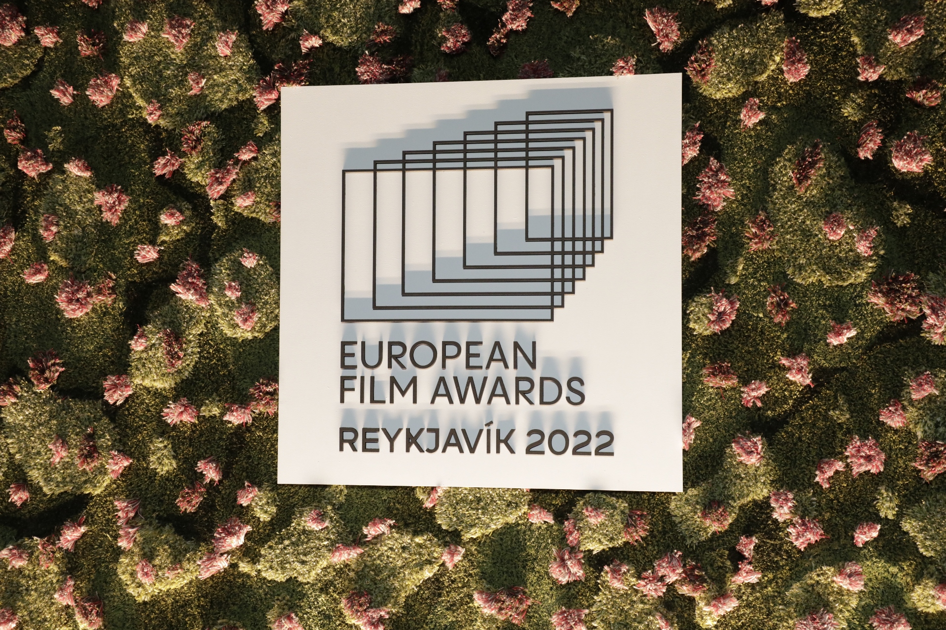 European Film Awards wall (Photo by Sebastian Gabsch)